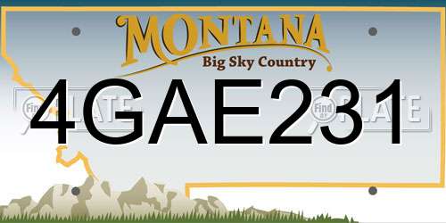 4GAE231 Montana License Plate