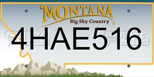 4HAE516 Montana License Plate