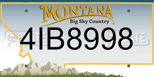 4IB8998 Montana License Plate