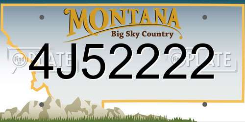 4J52222 Montana License Plate
