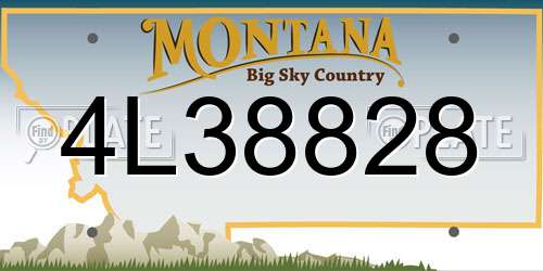 4L38828 Montana License Plate