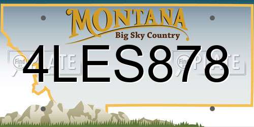 4LES878 Montana License Plate