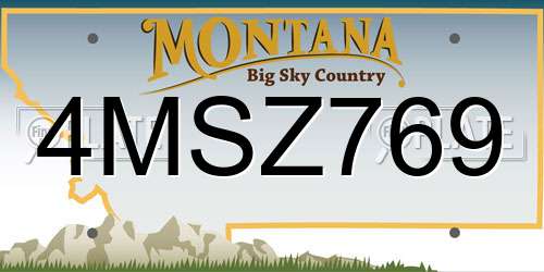 4MSZ769 Montana License Plate
