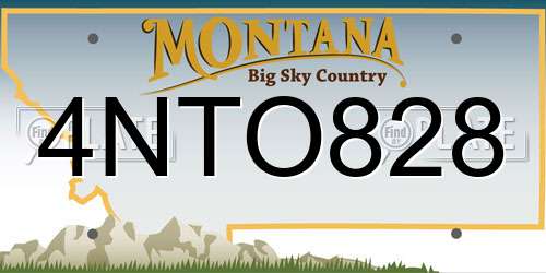 4NTO828 Montana License Plate