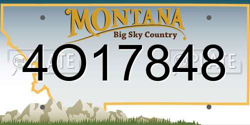 4O17848 Montana License Plate