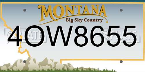 4OW8655 Montana License Plate