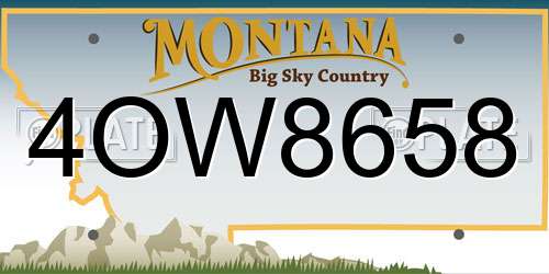 4OW8658 Montana License Plate