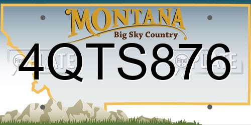 4QTS876 Montana License Plate