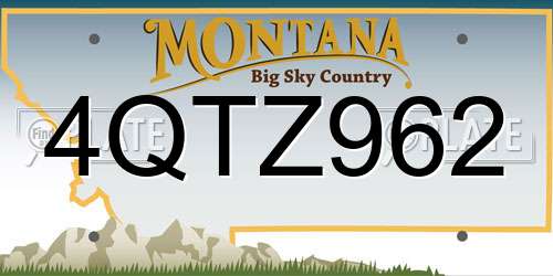 4QTZ962 Montana License Plate