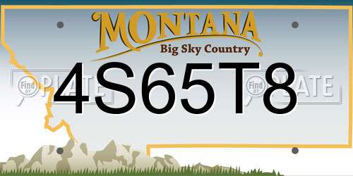 4S65T8 Montana License Plate