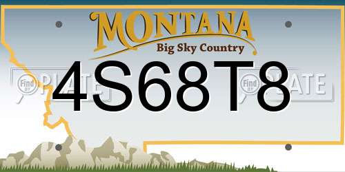 4S68T8 Montana License Plate