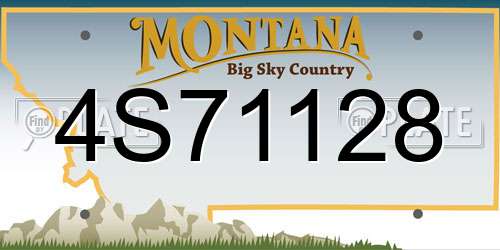 4S71128 Montana License Plate