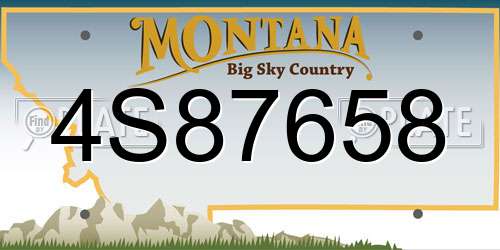 4S87658 Montana License Plate