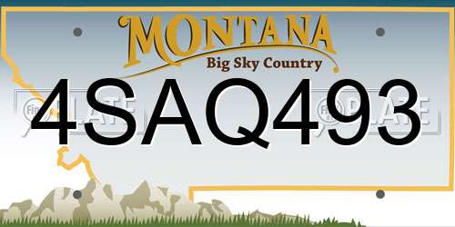 4SAQ493 Montana License Plate