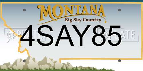 4SAY85 Montana License Plate