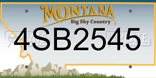 4SB2545 Montana License Plate