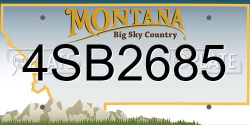 4SB2685 Montana License Plate