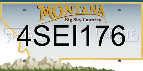 4SEI176 Montana License Plate