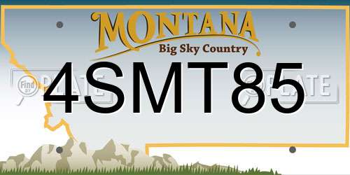 4SMT85 Montana License Plate