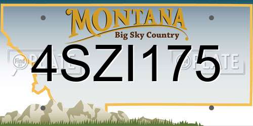 4SZI175 Montana License Plate