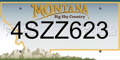 4SZZ623 Montana License Plate