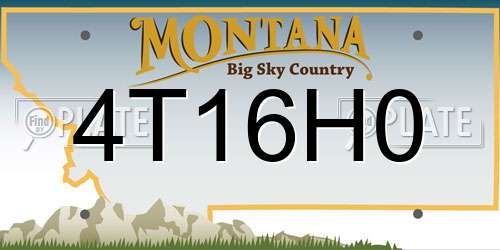 4T16H0 Montana License Plate