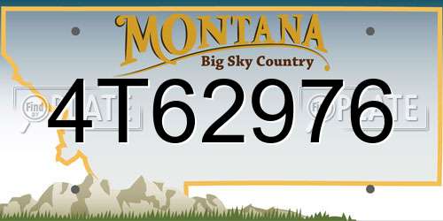 4T62976 Montana License Plate