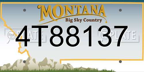 4T88137 Montana License Plate
