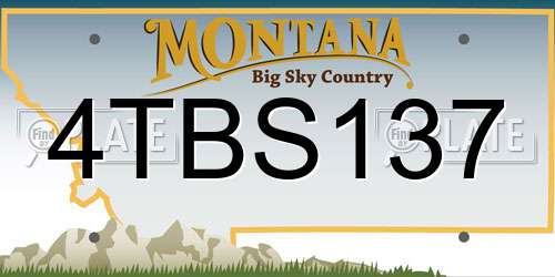4TBS137 Montana License Plate