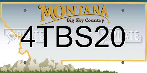 4TBS20 Montana License Plate