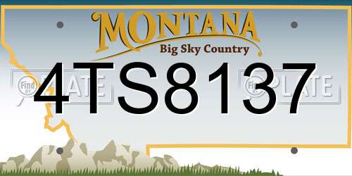 4TS8137 Montana License Plate