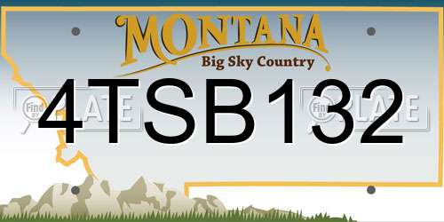 4TSB132 Montana License Plate