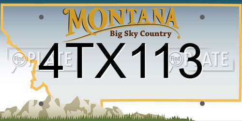 4TX113 Montana License Plate