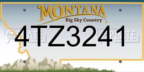 4TZ3241 Montana License Plate