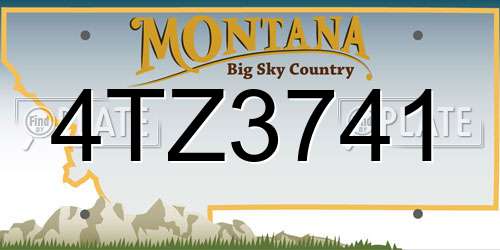 4TZ3741 Montana License Plate