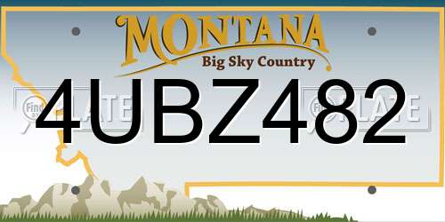 4UBZ482 Montana License Plate