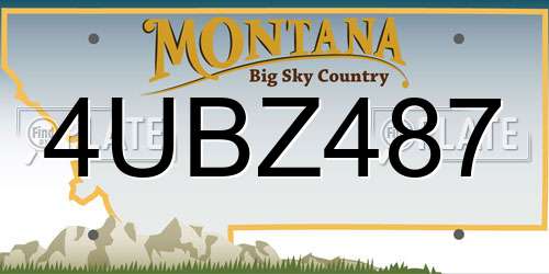 4UBZ487 Montana License Plate