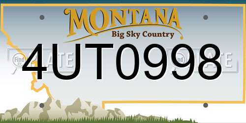 4UT0998 Montana License Plate