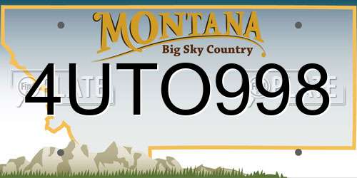 4UTO998 Montana License Plate