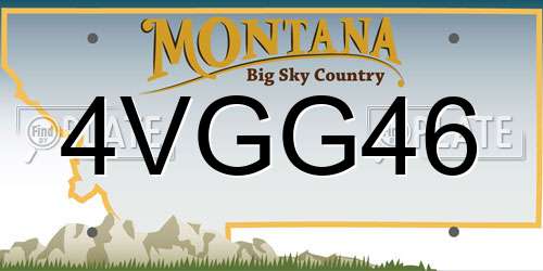 4VGG46 Montana License Plate