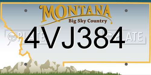 4VJ384 Montana License Plate