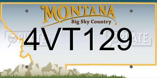 4VT129 Montana License Plate