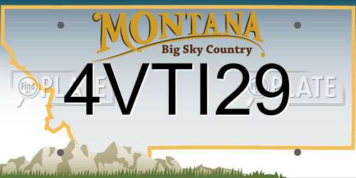 4VTI29 Montana License Plate