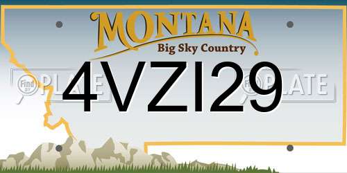 4VZI29 Montana License Plate