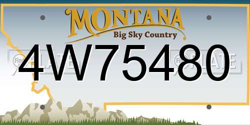 4W75480 Montana License Plate