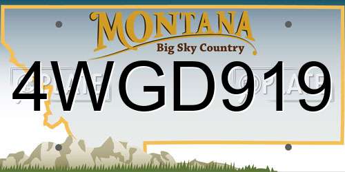 4WGD919 Montana License Plate