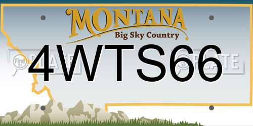 4WTS66 Montana License Plate