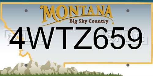 4WTZ659 Montana License Plate