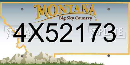 4X52173 Montana License Plate