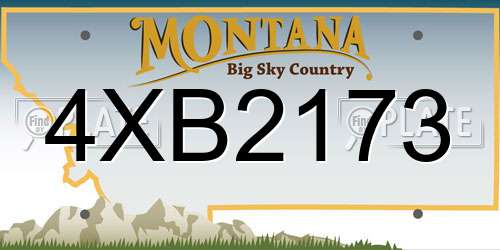 4XB2173 Montana License Plate